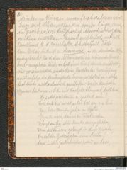 Seite 12, Tagebuch "Palästina (Tagebuch)" (NHMW-PRAE-BBB-80)
